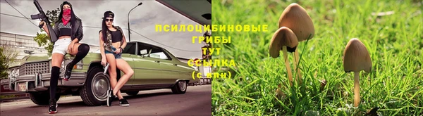 мяу мяу мука Балабаново