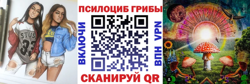Псилоцибиновые грибы Psilocybine cubensis  Афипский 